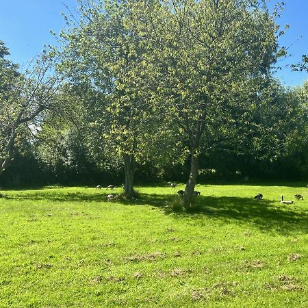 Adorable Two Bed Norfolk Broads Holiday Home - River Views With Moorings & Fishing Stalham Exterior photo