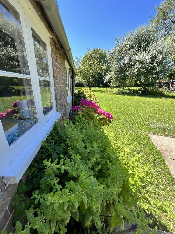 Adorable Two Bed Norfolk Broads Holiday Home - River Views With Moorings & Fishing Stalham Exterior photo